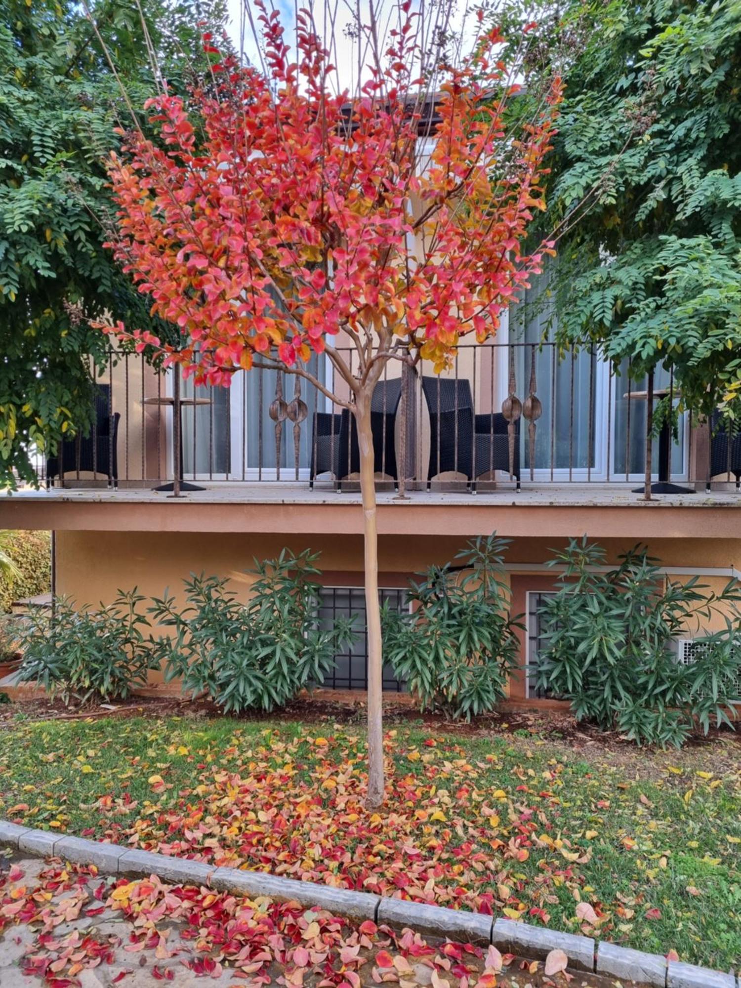 Hotel Zlatna Vala Ουμάγκ Εξωτερικό φωτογραφία